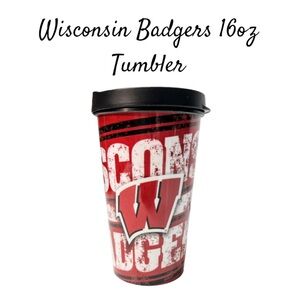 Dynamic Drinkware University of Wisconsin Badgers Stadium Beverage 16 oz Mug
